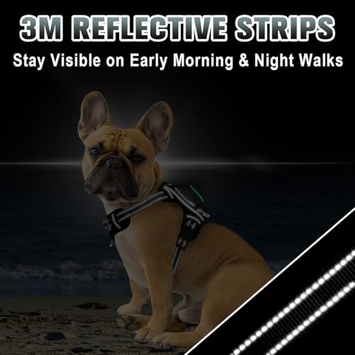 No Pull Dog Harness Large Reflective Dog Harness with Front Clip and Easy Control Handle for Walking Training Running with ID tag Pocket (Black / Small)