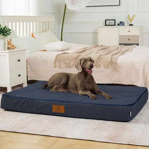 Orthopedic Memory Foam Giant Dog Bed (53.0"L x 36.0"W x 6.0"Th / Navy Blue)