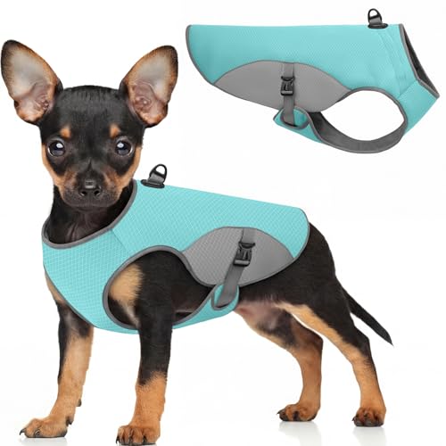 Dog Cooling Vest for Small Dogs (Blue / Small)