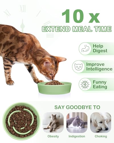 Ceramic Slow Feeder Dog Bowls Small Breed (S-0.6 Cups / 04-Green)