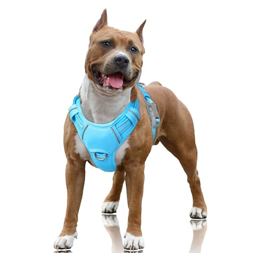 Dog Harness for Large Dogs No Pull Dog Vest ID Tag Pocket (Blue / Large)