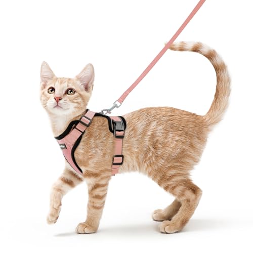 Cat Harness and Leash Set (S / Light Salmon Pink)