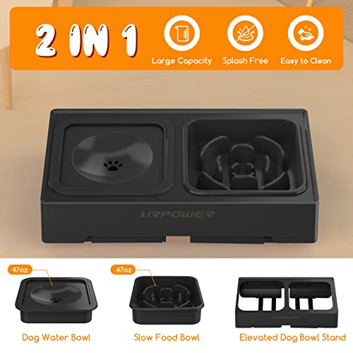 2-in-1 Elevated Slow Feeder Dog Bowls with No-Spill Water Bowl (Black / Slow Feeder)