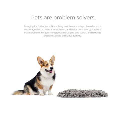 Forager Slow Feeder CAT and Dog Snuffle MAT and Feeding MAT