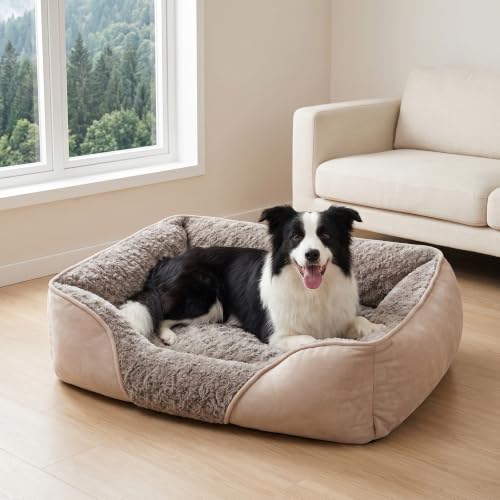 XX Large Dog Bed for Large (XXL(42"x 30"x 10") / Beige)