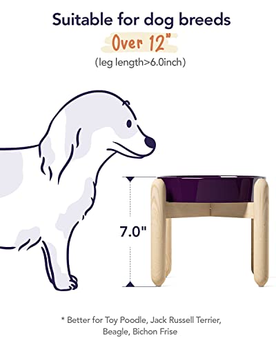 Ceramic Slow Feed Dog Bowls (Maze Purple+Stand / M-1.5 Cups)