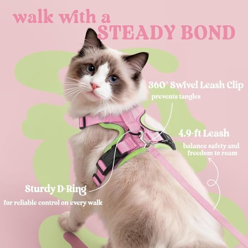 Cat Harness and Leash Set (Xs / Pink & Light Green)