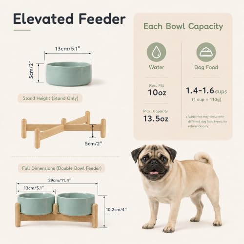 Ceramic Dog Bowls Elevated (Light Green)