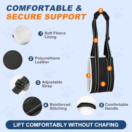 Dog Lift Harness for Rear Legs (Medium)