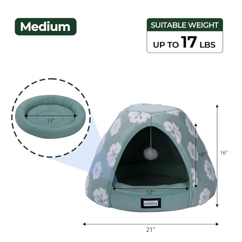 Cat Beds for Indoor Cats (21"L x 21"W x 16"Th / Green)