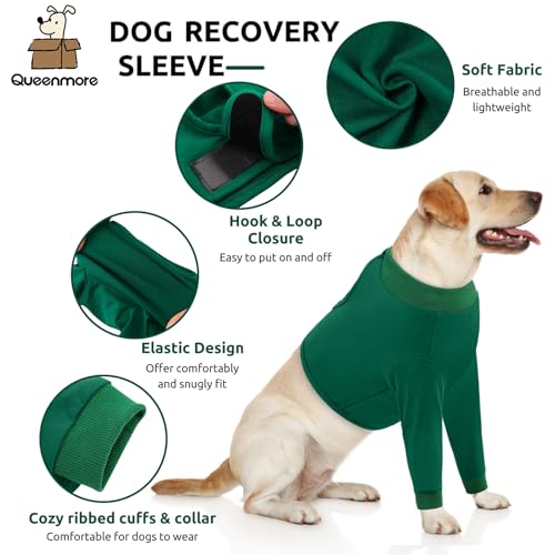Dog Surgery Recovery Sleeve for Front Leg (X-Large / Green)