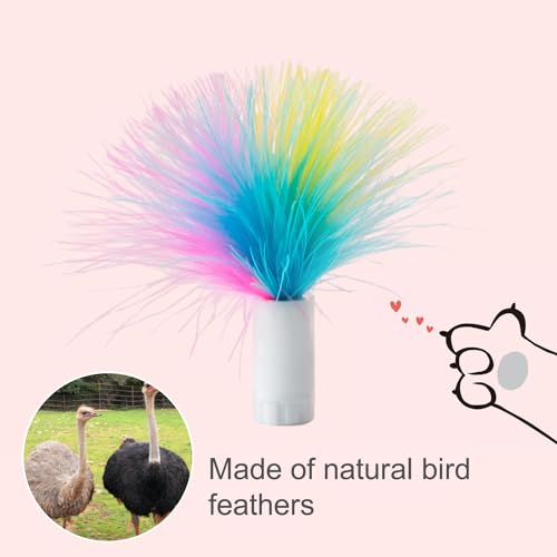 12Pcs Feathers Replacement and Soft Furry Accessories ONLY Fits T65 (Various Refills Feathers*12)