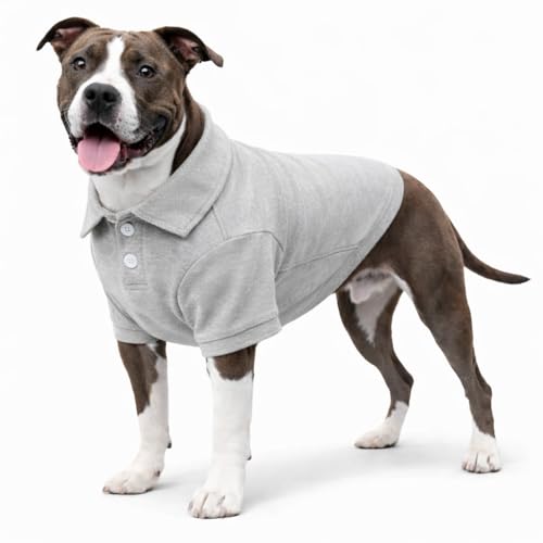 Basic Dog Polo Shirts Premium Cotton (XXL (-55lbs) / Gray)