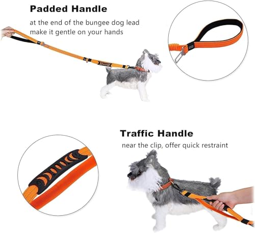 Heavy Duty Bungee Dog Leash with Locking Carabiner for Large Dogs (Orange)