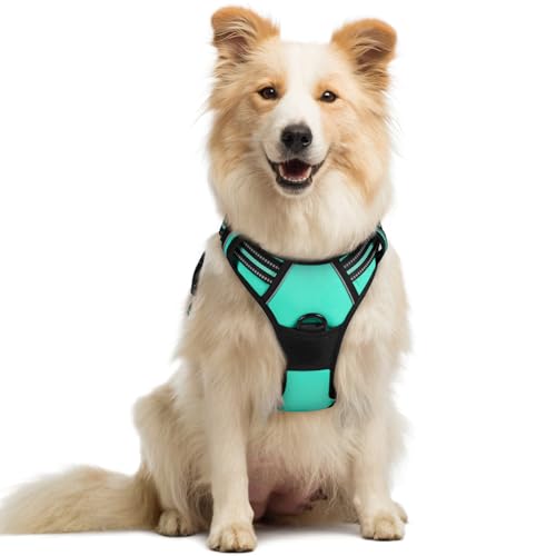 Dog Harness No Pull Medium Sized with 2 Leash Clips (Medium / Turquoise)