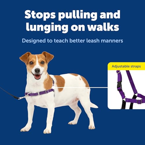 Easy Walk Harness (Small / Deep Purple/Black)