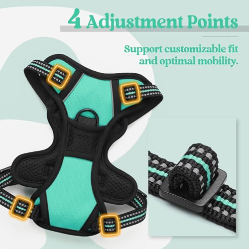Dog Harness No Pull for Small Dogs with 2 Leash Clips (X-Small / Turquoise)