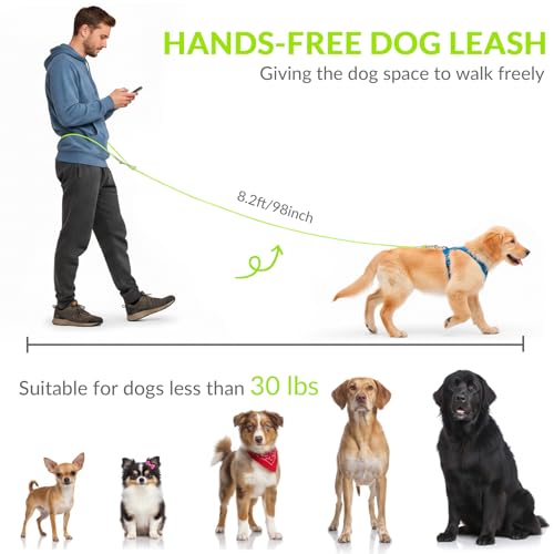 8.2ft Hands Free Dog Leash (Green)