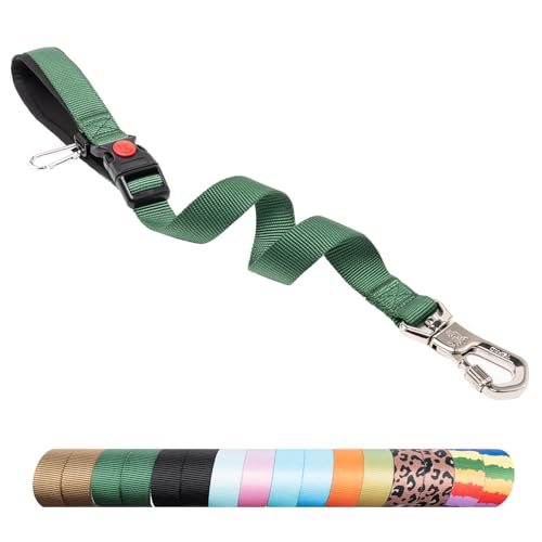 Dog Training Leash with Sturdy Metal Buckle (Size 3 - Length Adjustable 18.5"-26" / Green)