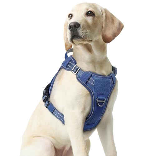Tactical Dog Harness Medium Sized (M(chest:20.1"-33.9",neck:17.7"-22.3",back:7.5") / Blue)
