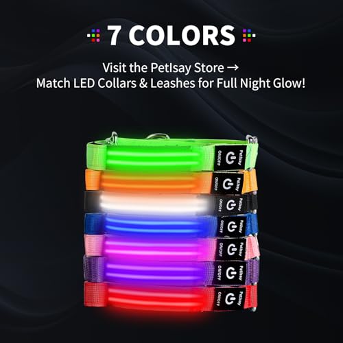 LED Dog Leash (Blue / 6 feet)