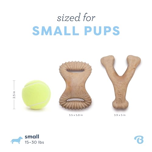 Puppy 2 Pack Dental (Puppy Small (2-Pack))