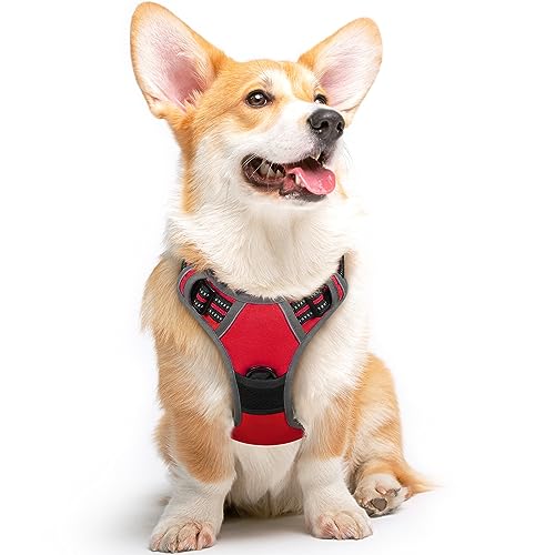 Dog Harness for Medium Sized Dogs (Medium / Red)