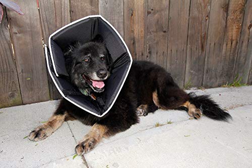 Comfy Cone Pet Cone for Dogs (Tan / XXL(Neck to Nose 14.5"))