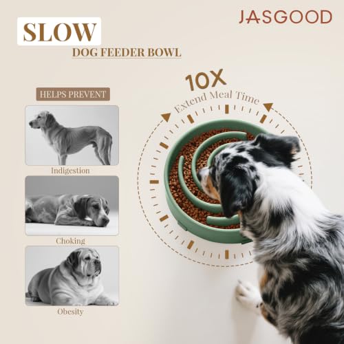 Slow Feeder Dogs Bowl for Large Medium Dogs (Large / Sage Green)