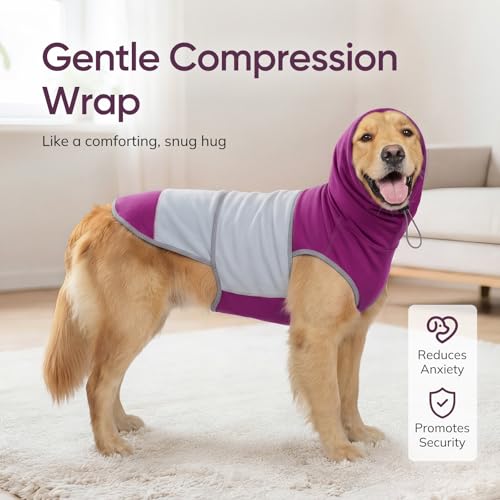 Dog Thunder Vest (Purple / M)