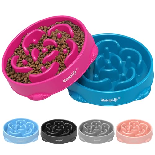 2 Pack Slow Feeder Dog Bowls (C-Purple&DarkBlue / Large)