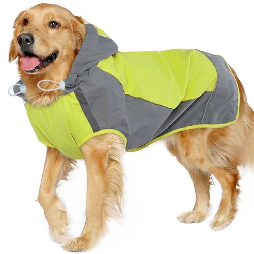 Hooded Dog Raincoat (2X-Large / Green)