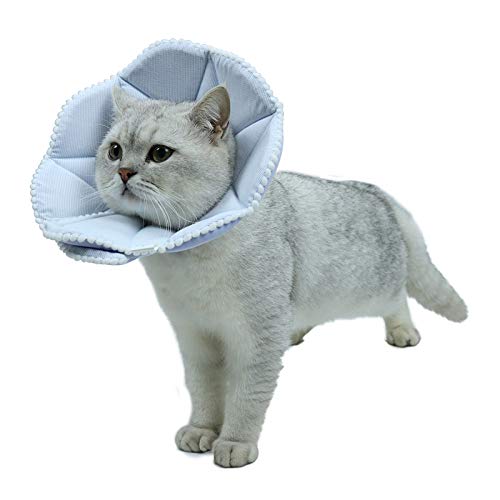 Soft Cat Recovery Collar (Medium / Blue)