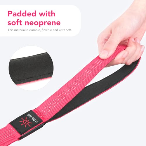 LED Light Up Dog Leash (Pink / 4FT)