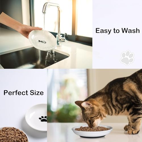 Cat Food Bowl (Shallower-3 Pack)