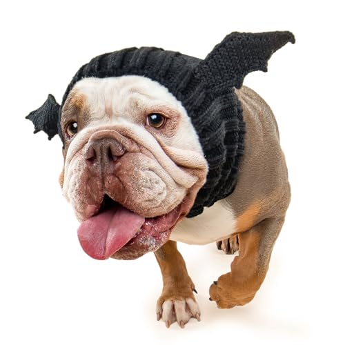 Bat Wing Dog Costume (Bat / Large)