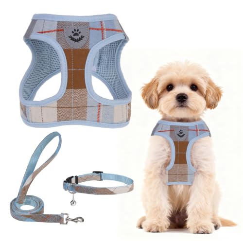 Dog Harness Collar and Leash Set No Pull for Small Medium Sized (Light Blue / S (CHEST 14.5"-16"))