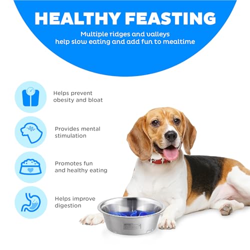 Fun Feeder Stainless Steel Slo Bowl for Dogs (Stainless Steel / Medium)