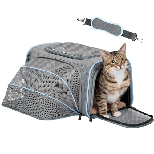 Small Expandable Cat Carrier for Air Travel (16"L x 10"W x 9"H / Light Gray)