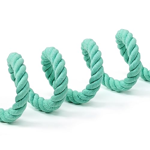 Dog Leash Braided Cotton Rope with Leather (Green / 60 Inch-1/2")