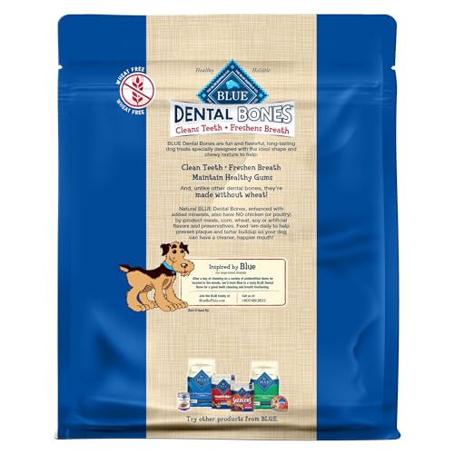 Regular Dental Bones (2.25 Pound (Pack of 1))