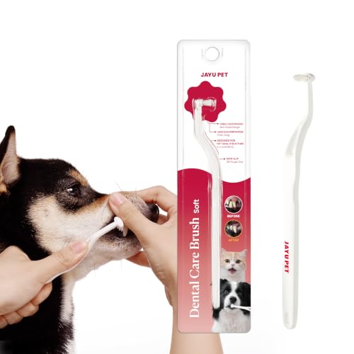 Dental Care Brush with Soft Bristles 1ea (Soft Bristles / 1 Count (Pack of 1))