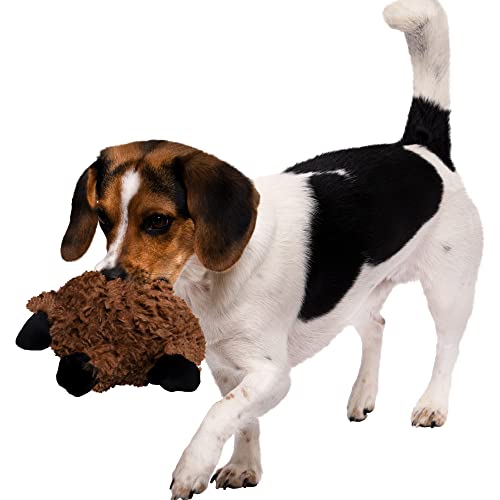 PlayClean Sloth Squeaky Plush Dog Toy with Odor (PlayClean - Sloth (Brown) / Small)