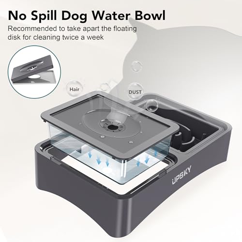 2-in-1 Elevated Dog Bowls Set with 4 Height Adjustable Stand, Gray (A-Water Bowl+Slow Feeder (Grey))