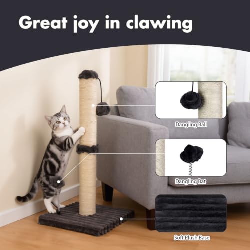 Cat Scratching Post Premium Basics Kitten Scratcher Sisal Scratch Posts with Hanging Ball 22in for Kittens or Smaller Cats (22 inches for kitten / Charcoal Gray)