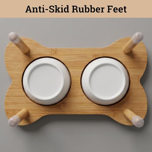 Elevated Dog Bowls for Small Dogs