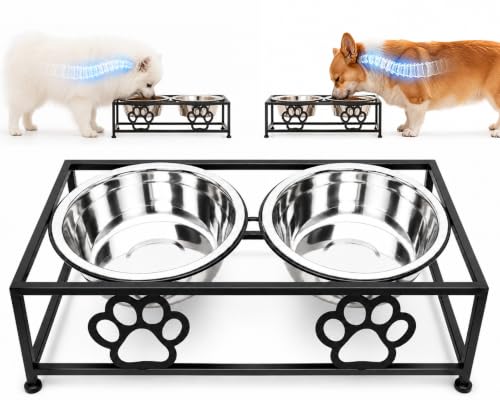 Raised Dog Bowls for Small Dogs (BLACK)
