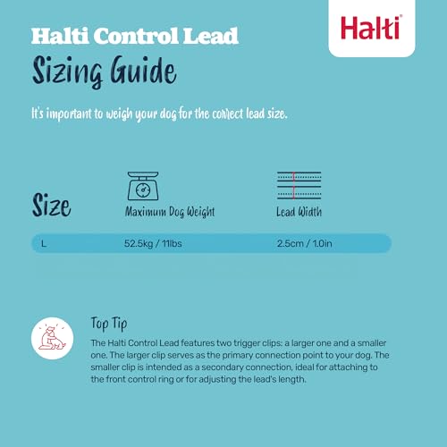 Control Leash for Dogs (Single)