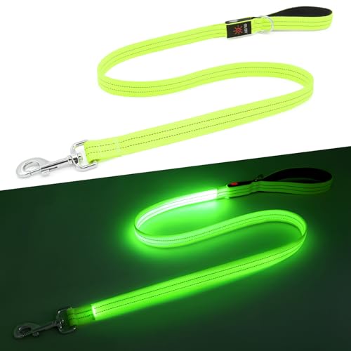LED Dog Leash (Green)
