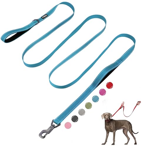 10 FT Heavy Duty Dog Leash (10 Feet (Pack of 1) / Blue)